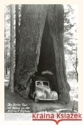 The Vintage Journal Car Driving through Redwood Found Image Press 9781648116223 Found Image Press