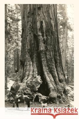 The Vintage Journal General Grant Sequoia, Kings Canyon National Park Found Image Press 9781648116841 Found Image Press