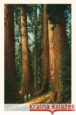 The Vintage Journal Sequoia Trees Found Image Press 9781648116858 Found Image Press