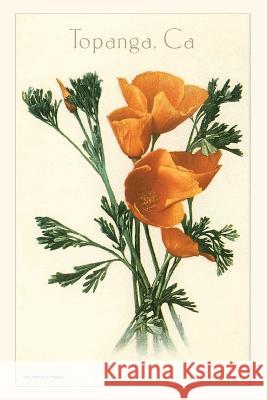 The Vintage Journal Poppies, Topanga, California Found Image Press 9781648116971 Found Image Press