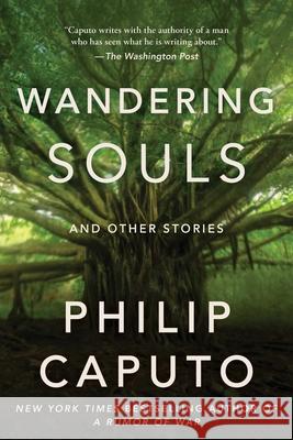 Wandering Souls: And Other Stories Philip Caputo 9781648211584