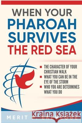 When Your Pharoah Survives the Red Sea Merit P. Ekeregbe 9781648302039