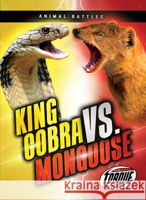 King Cobra vs. Mongoose Kieran Downs 9781648344954 Torque