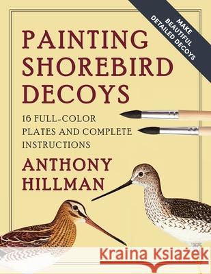 Painting Shorebird Decoys: 16 Full-Color Plates and Complete Instructions Anthony Hillman 9781648370694 Echo Point Books & Media, LLC