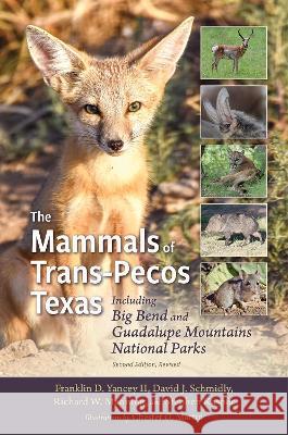 The Mammals of Trans-Pecos Texas: Including Big Bend and Guadalupe Mountains National Parks Franklin D. Yancey David J. Schmidly Stephen Kasper 9781648430244 Texas A&M University Press