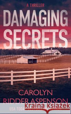 Damaging Secrets Carolyn Ridde 9781648754340 Severn River Publishing