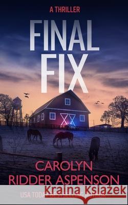 Final Fix Carolyn Ridde 9781648755101 Severn River Publishing