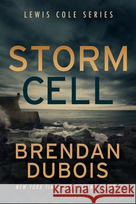Storm Cell Brendan DuBois 9781648755842 Severn River Publishing