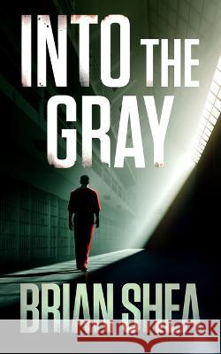 Into the Gray Brian Shea 9781648756016 Severn River Publishing