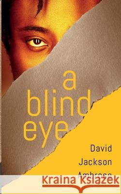 A Blind Eye David Jackson Ambrose 9781648902482 Ninestar Press, LLC