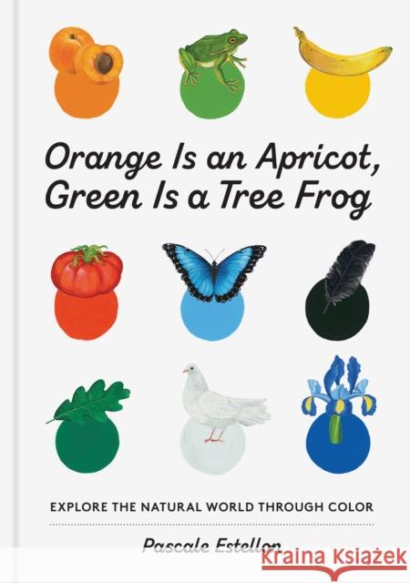 Orange Is an Apricot, Green Is a Tree Frog Estellon, Pascale 9781648960147 Princeton Architectural Press
