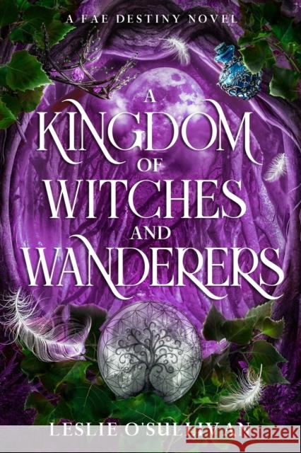 A Kingdom of Witches and Wanderers Leslie O'Sullivan 9781648985225 City Owl Press
