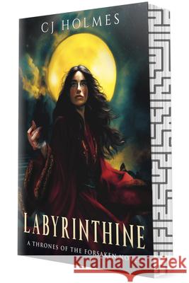 Labyrinthine Cj Holmes 9781648985478 City Owl Press