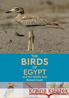 The Birds of Egypt and the Middle East Senior Instructor Richard Hoath (American University in Cairo) 9781649031242 American University in Cairo Press