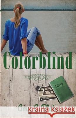 Colorblind Amy C. Blake 9781649170248 Scrivenings Press LLC