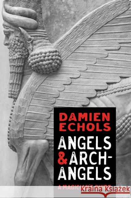 Angels and Archangels: A Magician's Guide Damien Echols 9781649630537