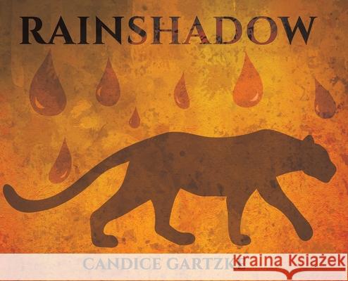 RainShadow Candice Gartzke 9781649790910 Austin Macauley Publishers LLC