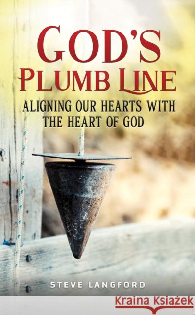 God's Plumb Line Steve Langford 9781649793379 Austin Macauley Publishers LLC