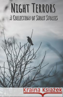 Night Terrors: A Collection of Short Stories Dylan Gibbs   9781649945969