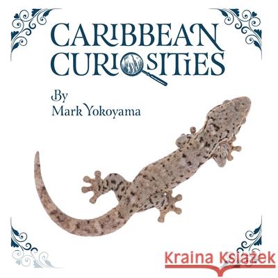 Caribbean Curiosities Mark Yokoyama 9781656182357