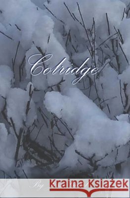 Colridge Brooke Correll, Jesse Gabel 9781661367015