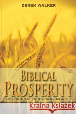 Biblical Prosperity Derek Walker 9781661673352 Independently Published