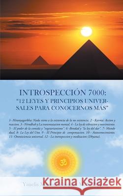 Introspección 7000: 12 leyes y principios universales para conocernos más Vásquez, Yanelis Manuel 9781662491238 Page Publishing, Inc.