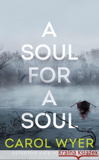 A Soul for a Soul Carol Wyer 9781662506154 Amazon Publishing