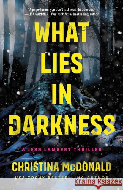 What Lies in Darkness Christina McDonald 9781662511646 Amazon Publishing