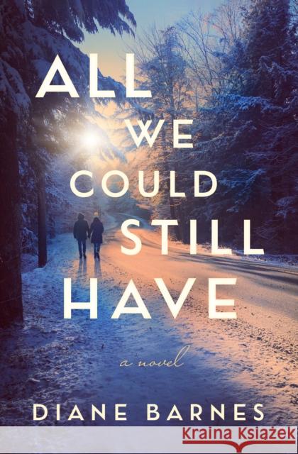 All We Could Still Have: A Novel Diane Barnes 9781662511813 Lake Union Publishing