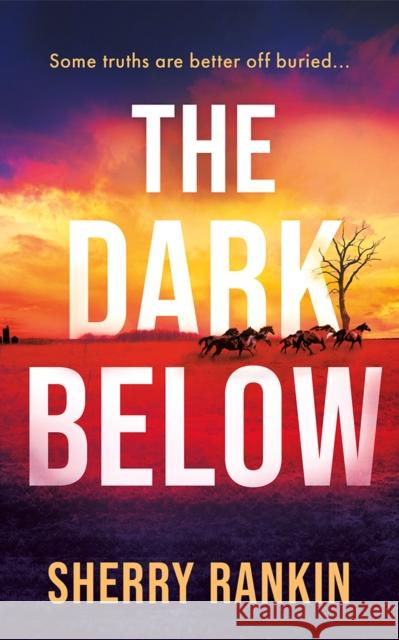 The Dark Below Sherry Rankin 9781662521171 Thomas & Mercer