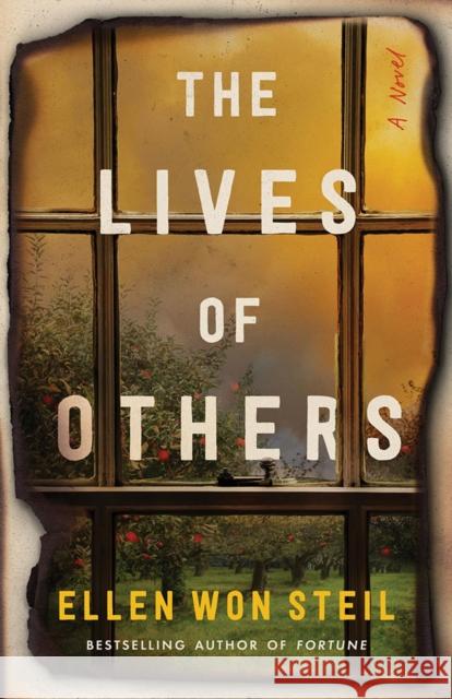 The Lives of Others: A Novel Ellen Won Steil 9781662527128 Lake Union Publishing