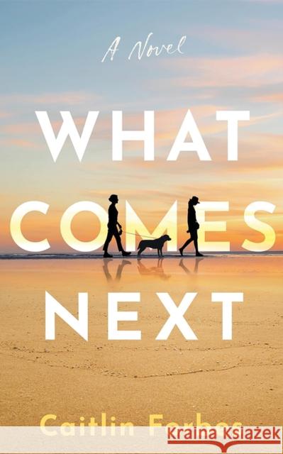 What Comes Next: A Novel Caitlin Forbes 9781662528118 Lake Union Publishing