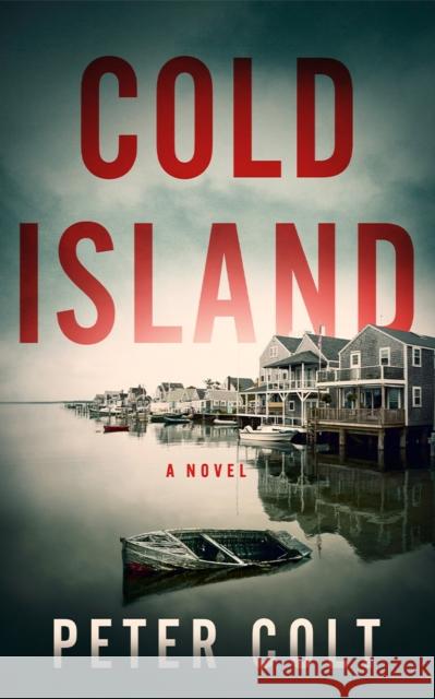 Cold Island: A Novel Peter Colt 9781662530388