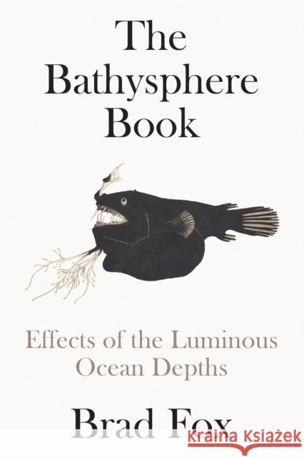 The Bathysphere Book: First Sight of the Ocean Depths Brad Fox 9781662601903