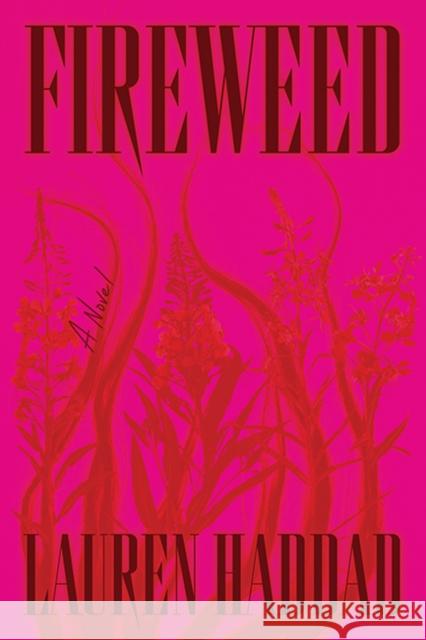 Fireweed Lauren Haddad 9781662602900