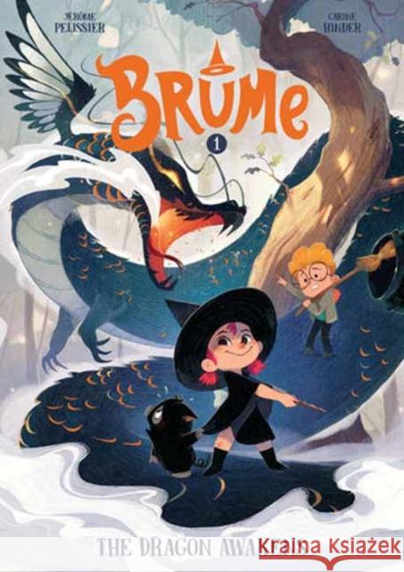 Brume: The Dragon Awakens J?r?me P?lissier Carine Hinder 9781662641244