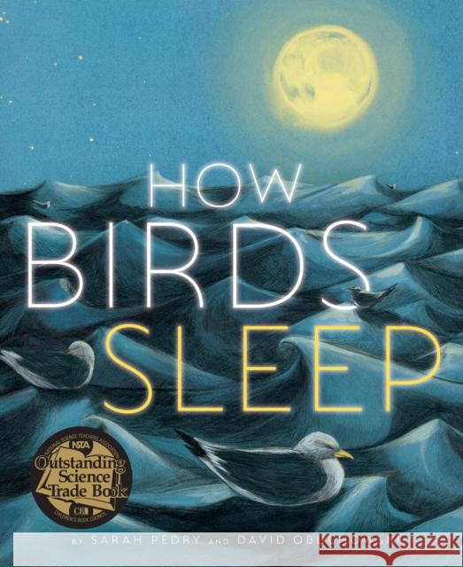 How Birds Sleep David Obuchowski Sarah Pedry 9781662650970