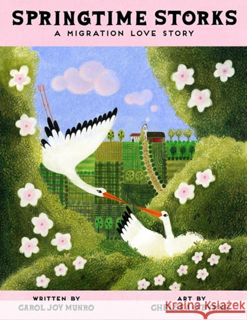 Springtime Storks: A Migration Love Story Carol Joy Munro Chelsea O'Byrne 9781662651212