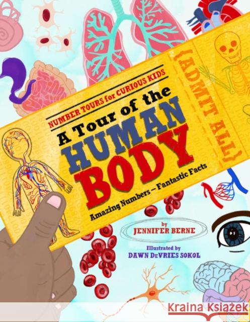 Tour of the Human Body, A: Amazing Numbers--Fantastic Facts Jennifer Berne 9781662670152 Kane Press