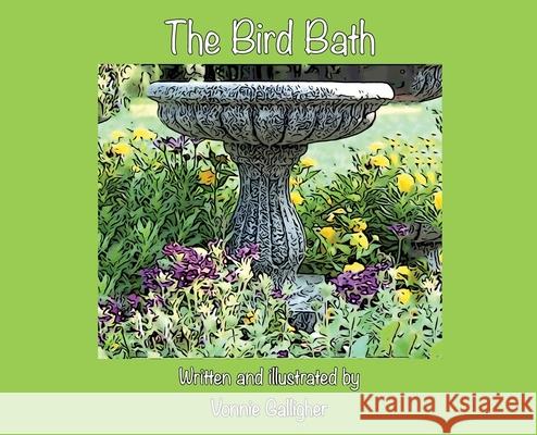 The Bird Bath Vonnie Galligher 9781662916755 Gatekeeper Press