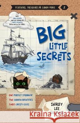 Big Little Secrets Shirley Lee Baldwin 9781662968716