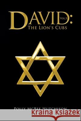 David: The Lion's Cubs Polly McBee Hutchison 9781663233301 iUniverse