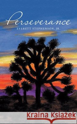 Perseverance Everett, Jr. Stephenson 9781663234063
