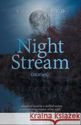 Night Stream Vic Amato 9781663275882