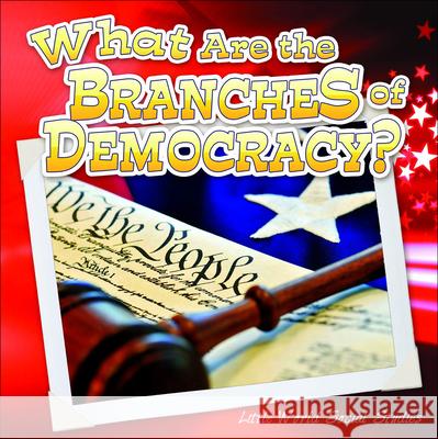 What Are the Branches of Government?  9781663620910 Turtleback