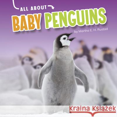 All about Baby Penguins Martha E. H. Rustad 9781663907998 