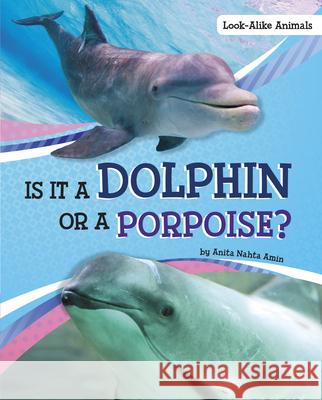 Is It a Dolphin or a Porpoise? Anita Nahta Amin 9781663908551 Pebble Books