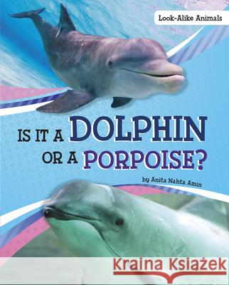 Is It a Dolphin or a Porpoise? Anita Nahta Amin 9781663908551