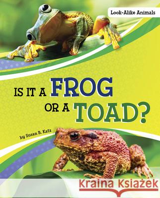 Is It a Frog or a Toad? Susan B. Katz 9781663908599 